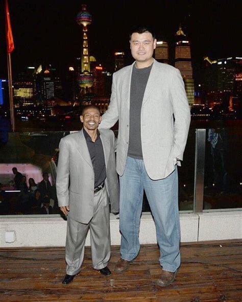 yao ming height comparison